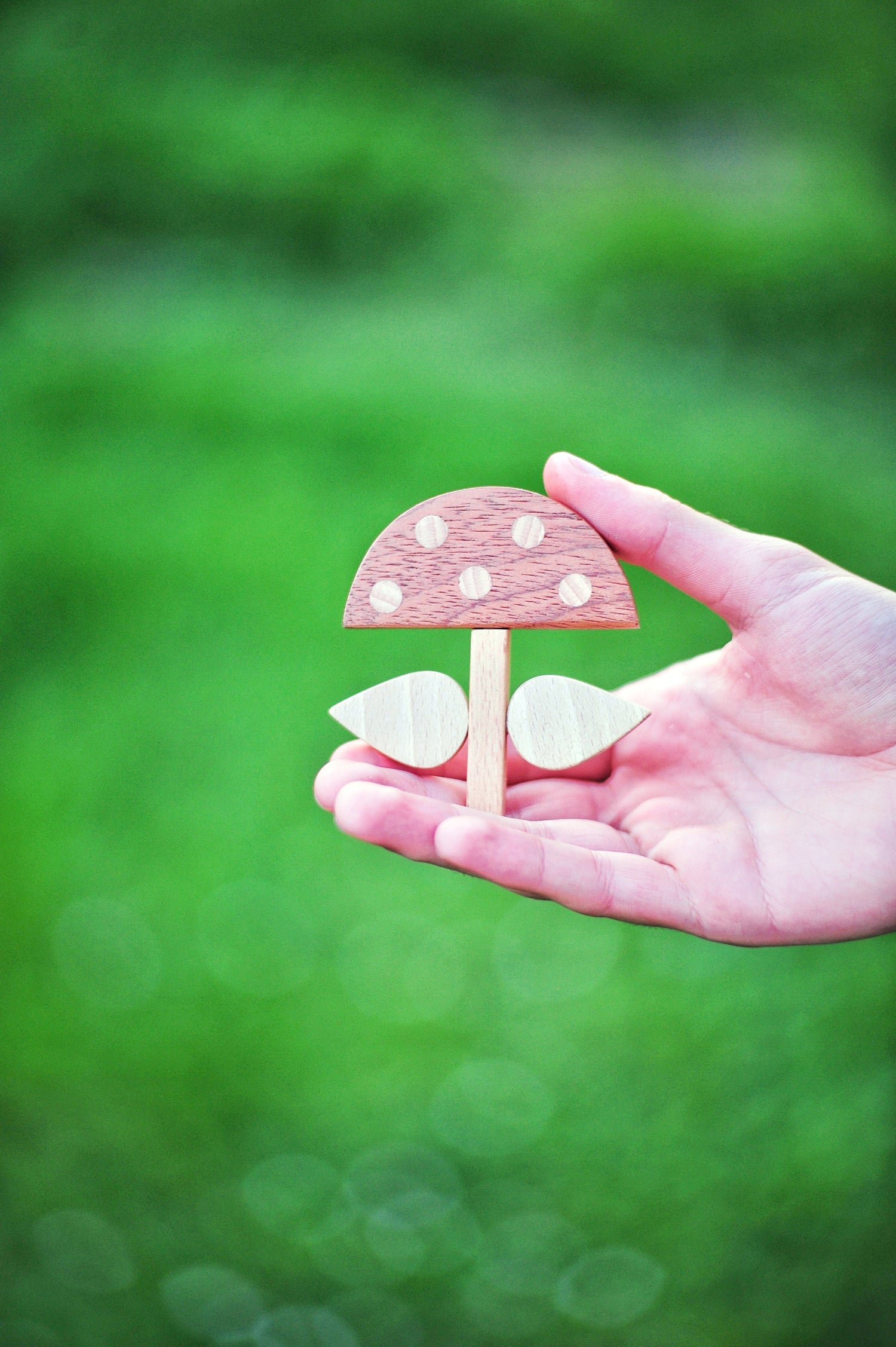 Accessori da indossare